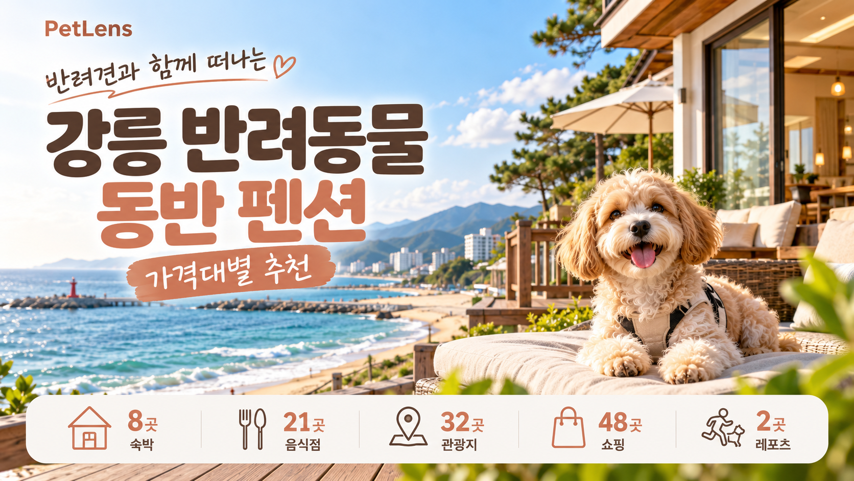 강릉 반려동물 동반 펜션 | 가격대별 추천