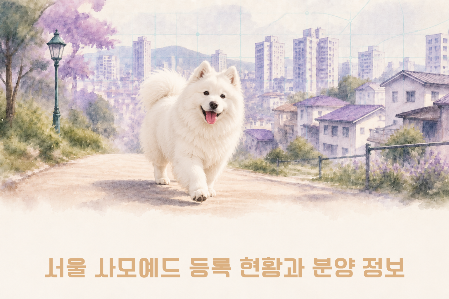 서울 사모예드 등록 현황과 분양 정보