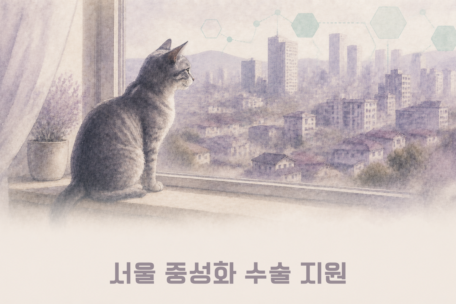 서울 중성화 수술 지원 - 대상·비용·신청법
