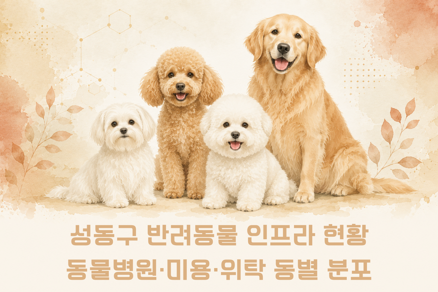 성동구 반려동물 인프라 현황 동물병원·미용·위탁 동별 분포