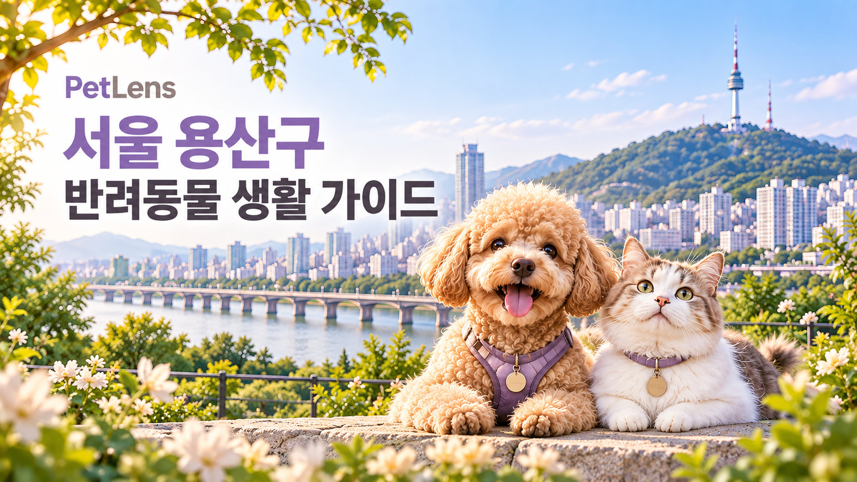 용산구 동물병원 35곳- 동별 위치와 진료비 정보