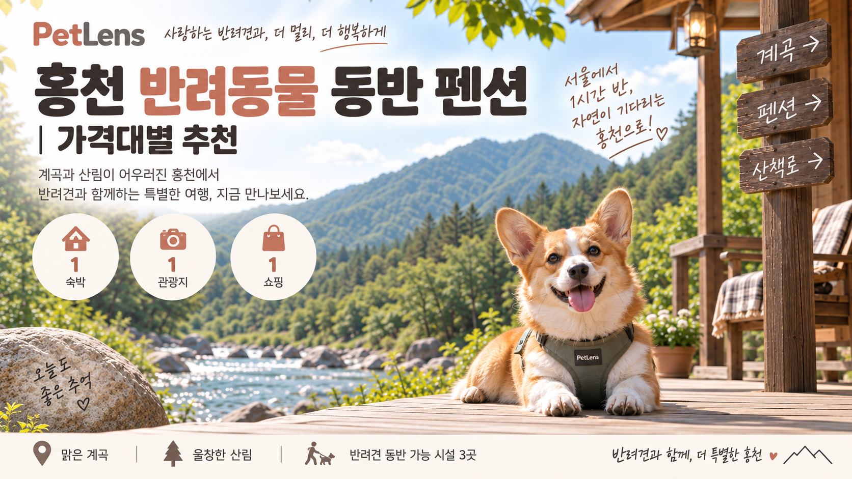 홍천 반려동물 동반 펜션 - 가격대별 추천